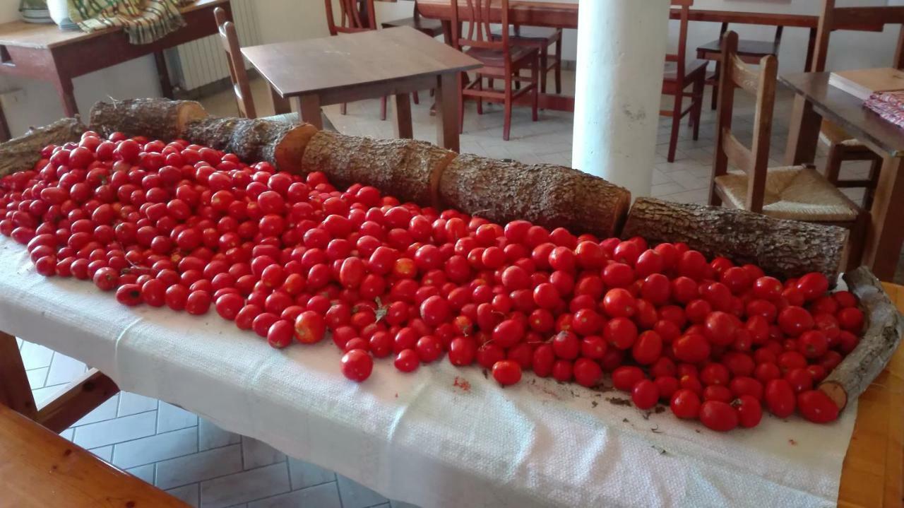 알라노 Le Terre D'Abruzzo 게스트하우스 외부 사진