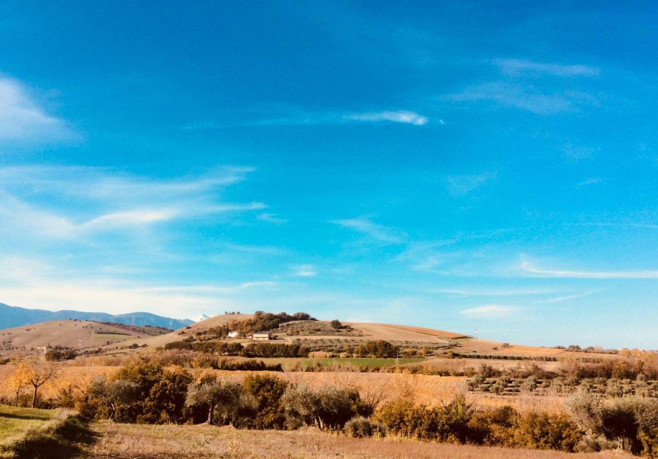 알라노 Le Terre D'Abruzzo 게스트하우스 외부 사진