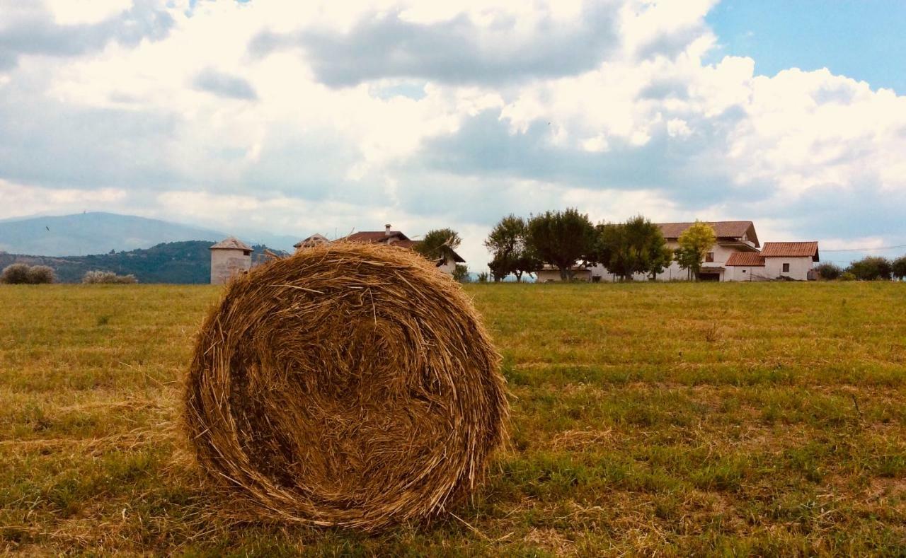 알라노 Le Terre D'Abruzzo 게스트하우스 외부 사진